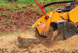 Best Tree Mulching Services  in Oroville East, CA